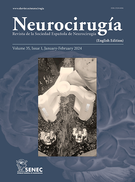 Go to journal home page - Neurocirugía (English Edition)
